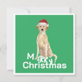 Carte Noël Labrador Retriever Chien Merry Salutation (Devant)