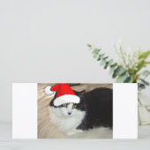 Carte Noël Long Haired Noir et Blanc Kitten (Debout devant)