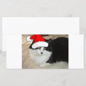 Carte Noël Long Haired Noir et Blanc Kitten (Devant / Derrière)