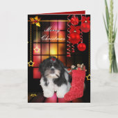 Carte Noël Noël Chien Shitzu Chien Chien Chien Chi (Devant)