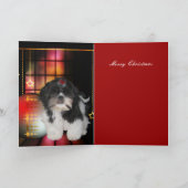 Carte Noël Noël Chien Shitzu Chien Chien Chien Chi (Intérieur)