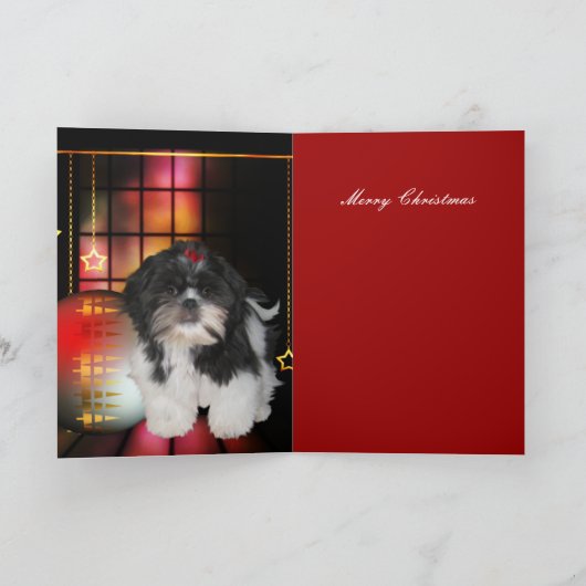 Carte Noël Noël Chien Shitzu Chien Chien Chien Chi (Intérieur)