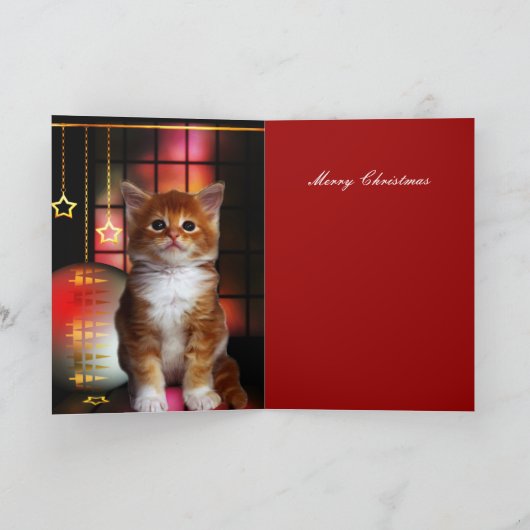 Carte Noël Noël Noël Chat Kitten (Intérieur)