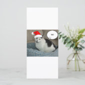 Carte Noël noir et blanc Kitten (Debout devant)