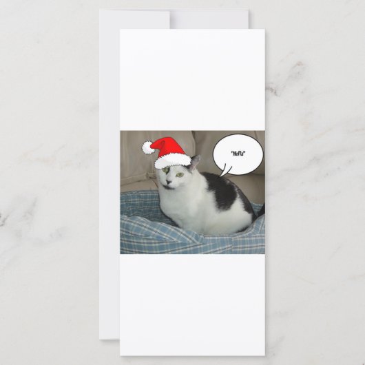 Carte Noël noir et blanc Kitten (Devant)