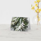 Carte Noël paisible - Branches de pin enneigées (Fleur jaune)