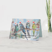 Carte Noël Père Noël Budgies Budgie Funny Vacances (Dos)