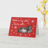 Carte Noël rouge mignon d'âne (Fleur jaune)