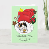 Carte Noël Stocker mignonne Calico Kitten (Devant)