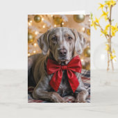 Carte Noël Weimaraner Chien Avec Nœud Rouge (Fleur jaune)