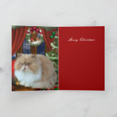 Carte Noël Xmas Chapeau Chat (Intérieur)