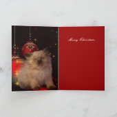 Carte Noël Xmas Chapeau Chat (Intérieur)