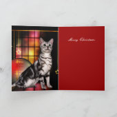 Carte Noël Xmas Chat (Intérieur)