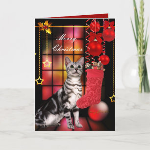 Carte Noël Xmas Chat