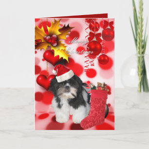Carte Noël Xmas Chien Shitzu Chapeau de chiot Cœur