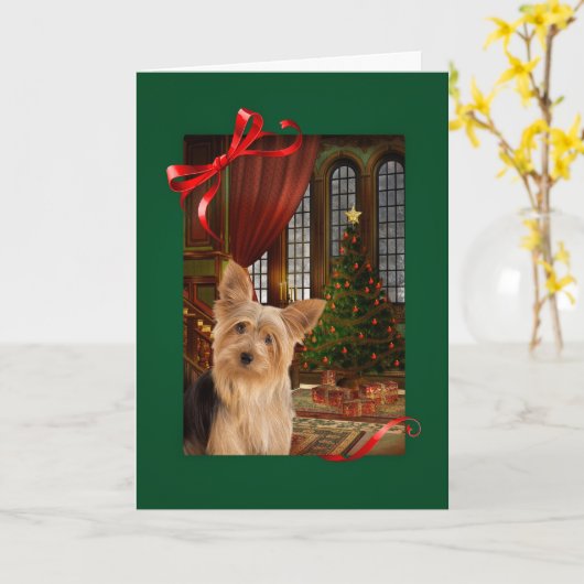 Carte Noël Yorkie (Fleur jaune)