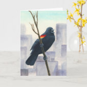 Carte Noir (Fleur jaune)