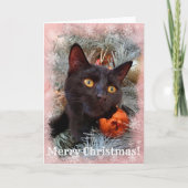 Carte Noir Chat Joyeux Noël (Devant)