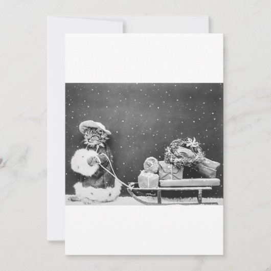 Carte Noir et Blanc Funny Chat Noël (Devant)