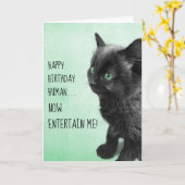 Carte Noir Fumée Kitten (Fleur jaune)