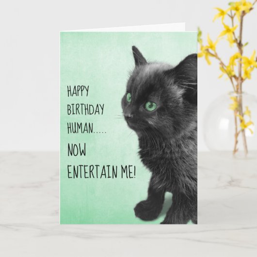 Carte Noir Fumée Kitten (Fleur jaune)