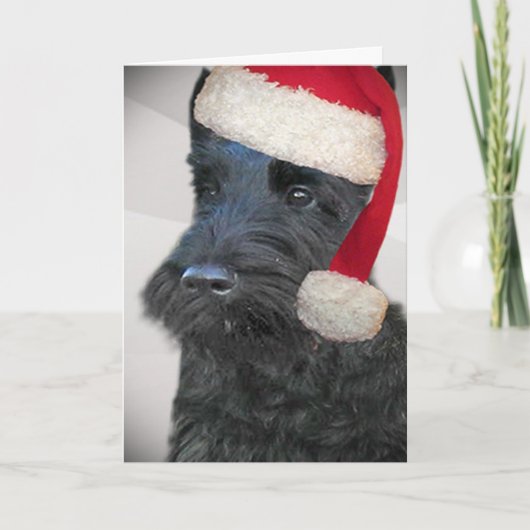 Carte noire de Terrier Père Noël d'écossais (Devant)