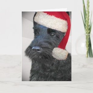 Carte noire de Terrier Père Noël d'écossais