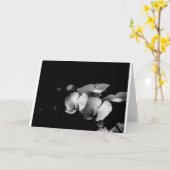 Carte noire et blanche de branche d'orchidée (Fleur jaune)