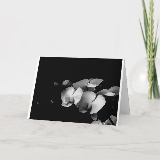 Carte noire et blanche de branche d'orchidée (Devant)
