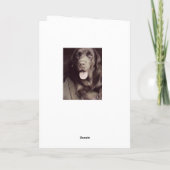 Carte Noire Et Blanche Du Labrador Retriever Doing (Dos)