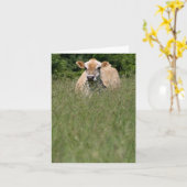 Carte Noisette (Fleur jaune)