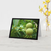 Carte Noix dans le feuillage vert (Fleur jaune)