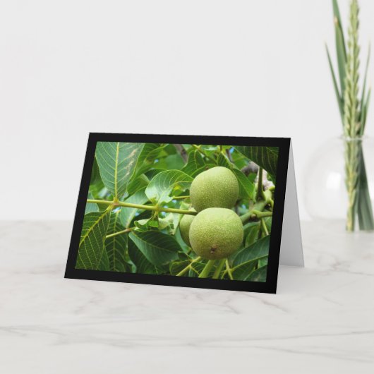 Carte Noix dans le feuillage vert (Devant)