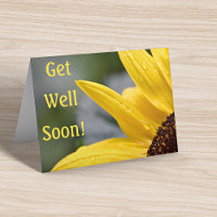 Nom, Tournesol Rosée du Matin Meilleurs Vœux de Gu