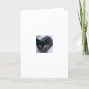 Carte non défini