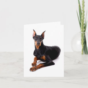Carte non écrite de chiot Doberman Pinscher