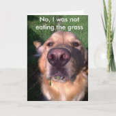 Carte Non, je n'étais pas (Devant)