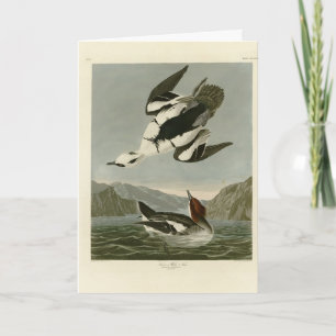 Carte Nonne blanche ou sournoise, d'Audubon's Birds of A