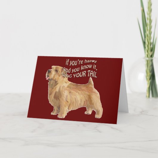 Carte norfolk terrier (Devant)