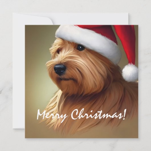 Carte Norfolk Terrier Noël (Devant)