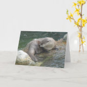 Carte North American River Otter #2 (Fleur jaune)