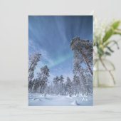 Carte Northern Lights (Debout devant)