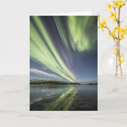 Carte Northern Lights Norvège (Fleur jaune)