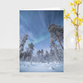 Carte Northern Lights Norvège (Fleur jaune)