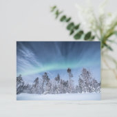 Carte Northern Lights Norway (Debout devant)