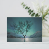 Carte Northern Lights Tree (Debout devant)