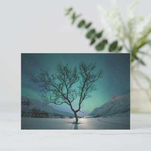 Carte Northern Lights Tree (Debout devant)