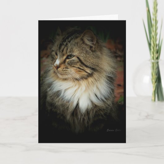 Carte Norvégien vous manque Chat de forêt (Devant)
