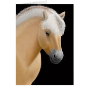Carte norvégienne du fjord Horse