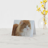 Carte Norwegian_Forest_Cat (Fleur jaune)